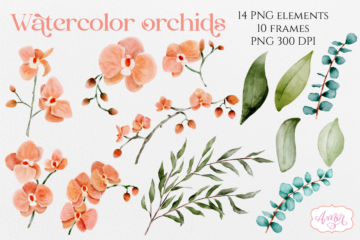 Watercolor orchids clipart PNG | Hand painted flowers PNG