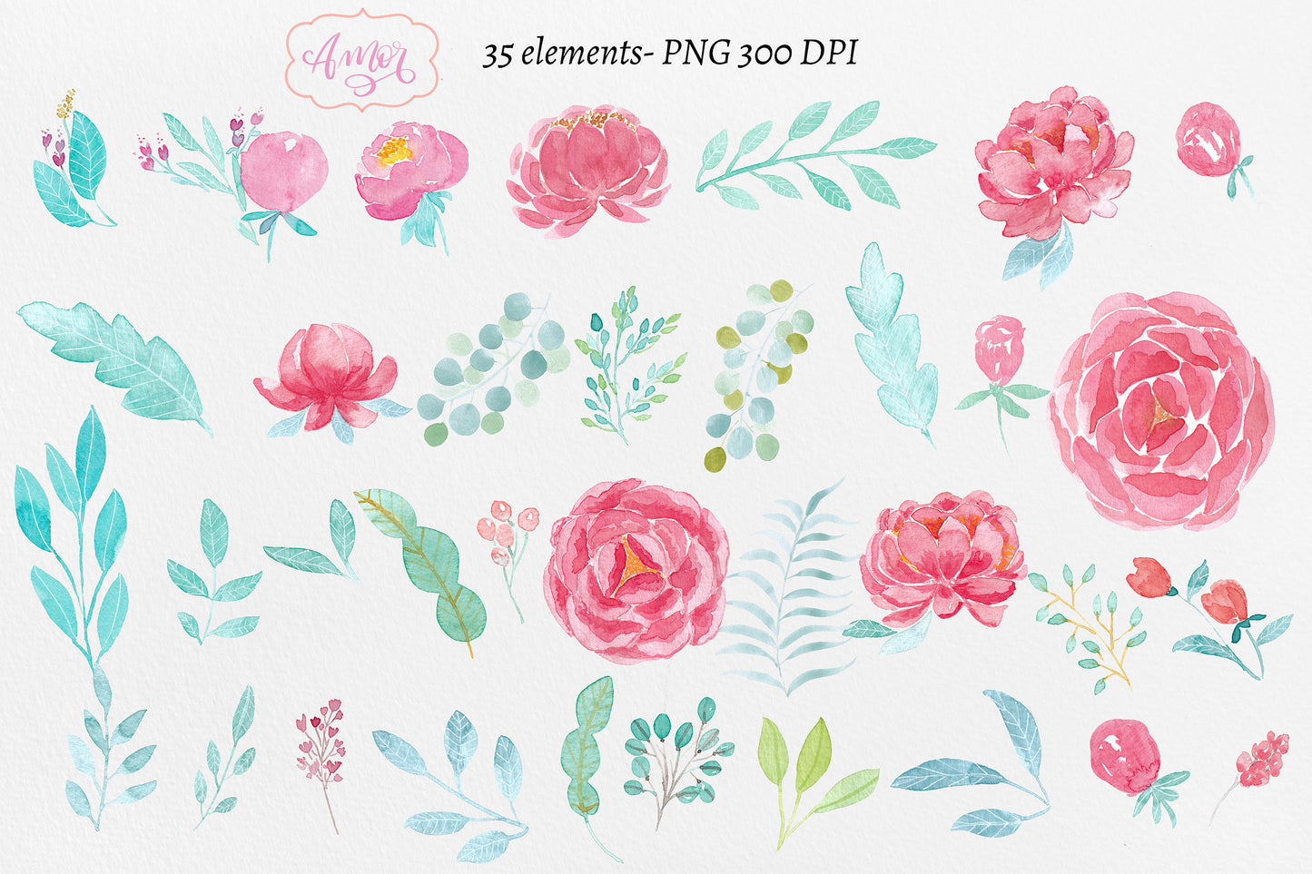 Watercolor Peonies Clipart