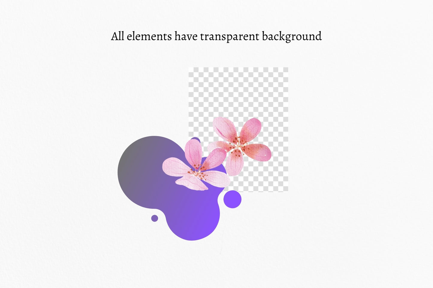 Watercolor Cherry Blossom Clipart