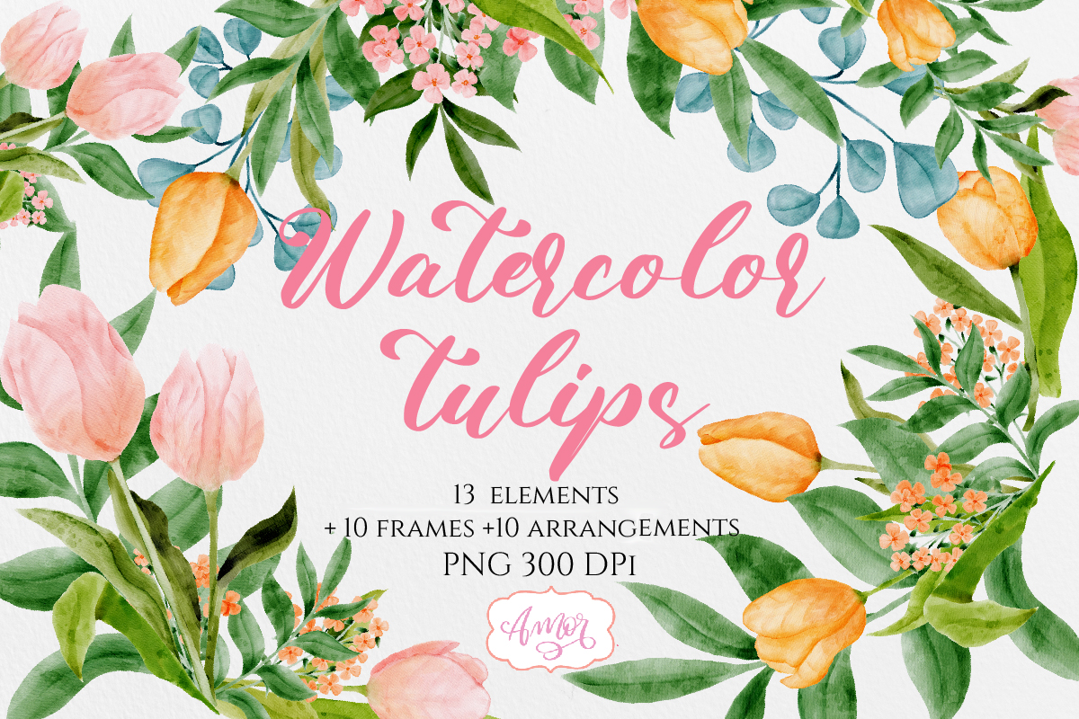 Watercolor Clipart Set with Pink and Orange Tulips PNG