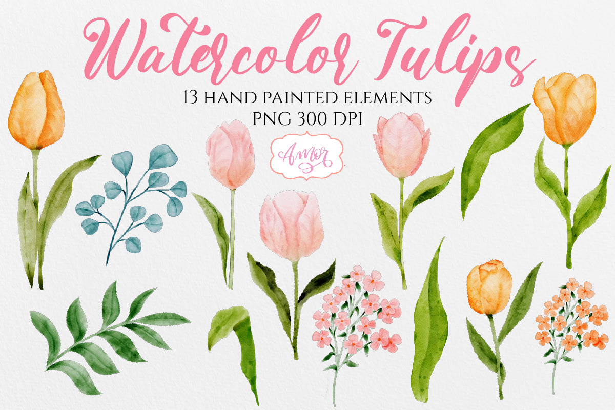 Watercolor Clipart Set with Pink and Orange Tulips PNG