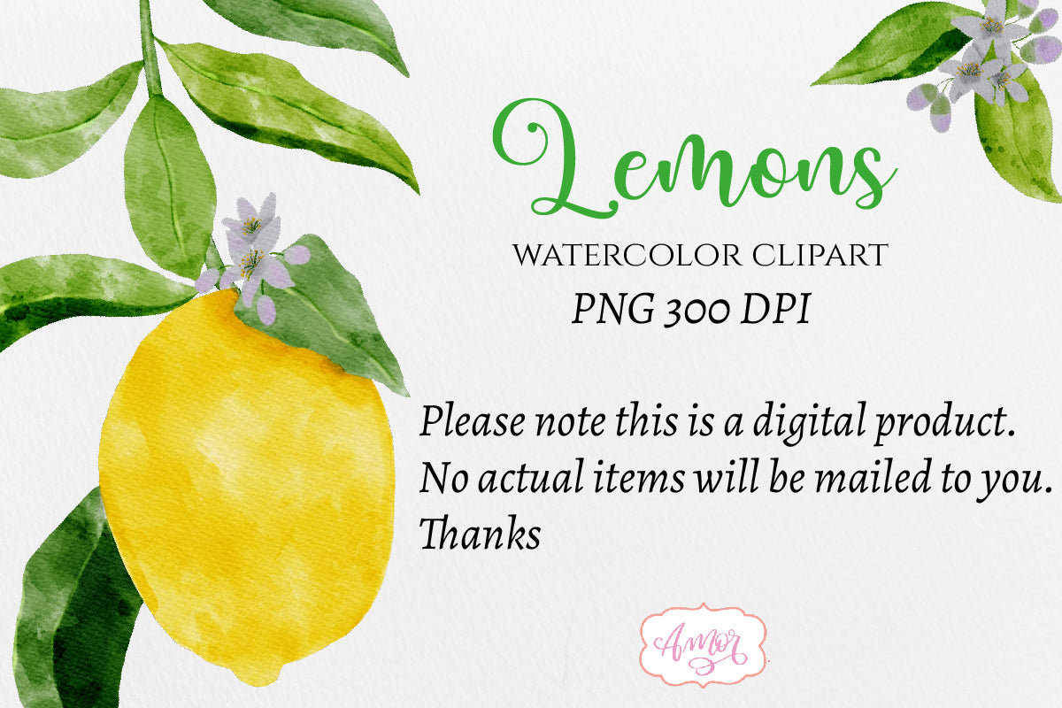 Watercolor lemons PNG clipart